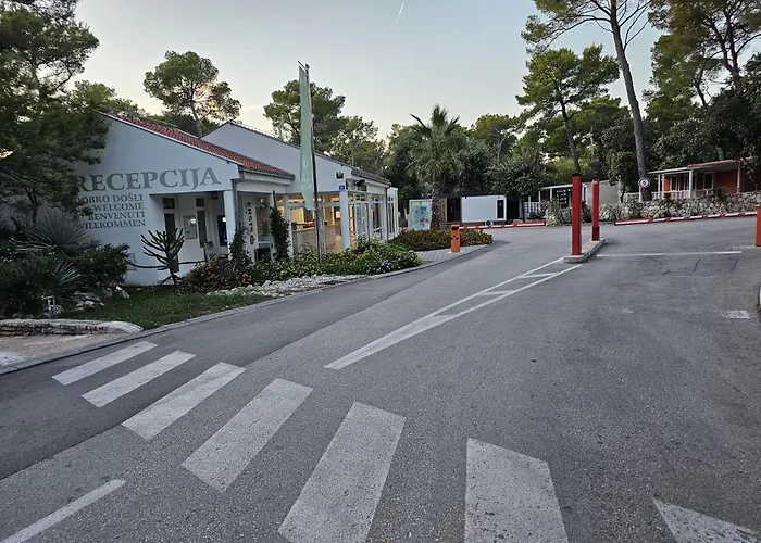 Mobile Sea Fairy,