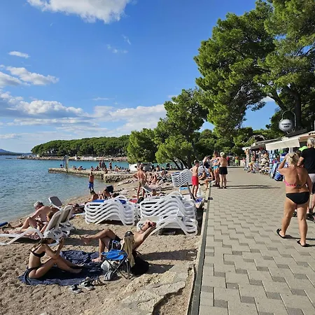 Mobile Sea Fairy, 캠프장